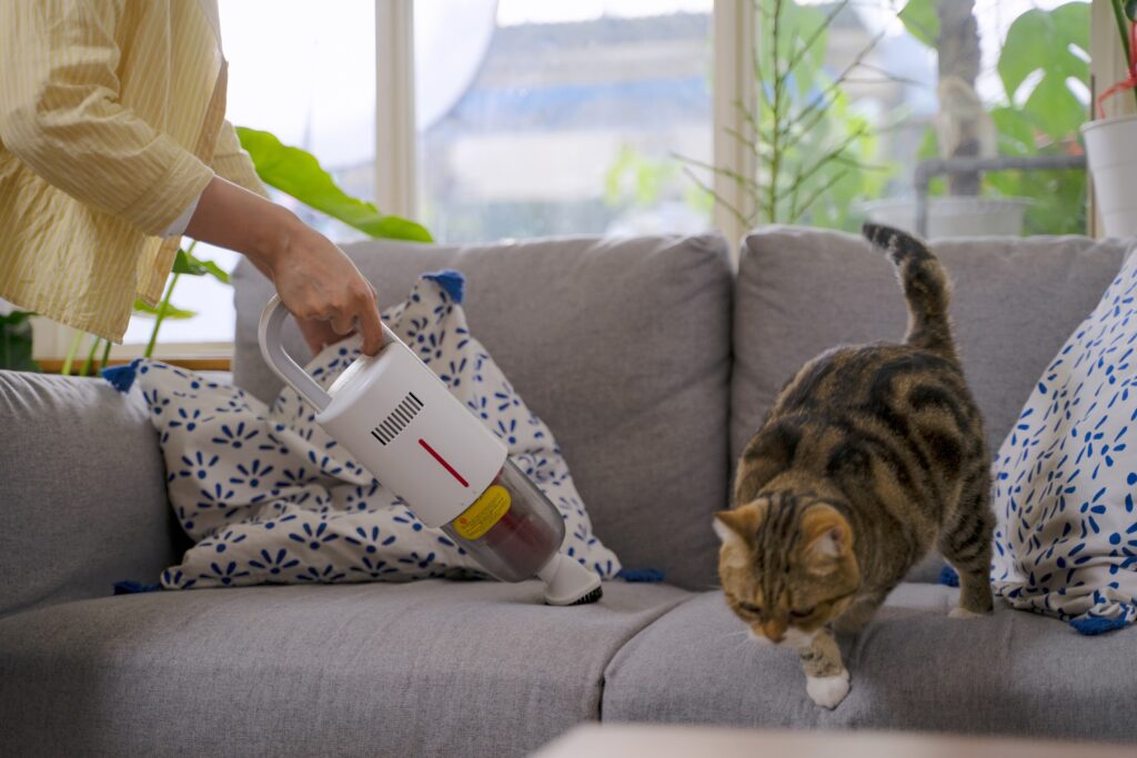 Woman vacuuming a couch and a cat running away. Learn why cats are scared of vacuums.