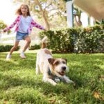 Meet the 32 Different Terrier Breeds and Learn Which Is Right for You