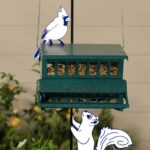 6 Expert-Proven Ways To Keep Squirrels Out of Your Bird Feeder