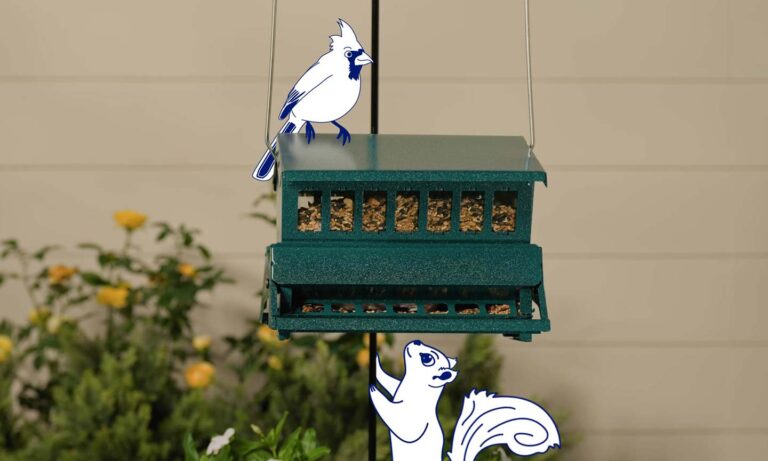 An illustrated bird and squirrel surrounding a squirrel-proof bird feeder