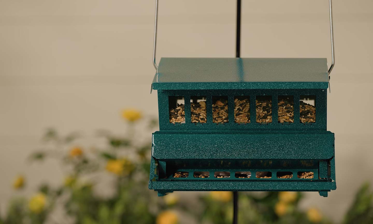 A squirrel-resistant bird feeder 