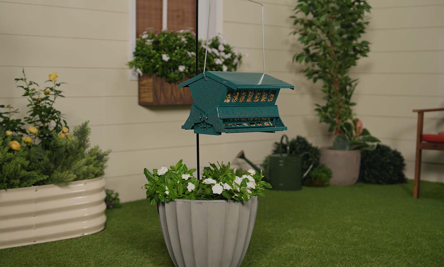 a bird feeder placed in the center of a yard, away from jump-off points 