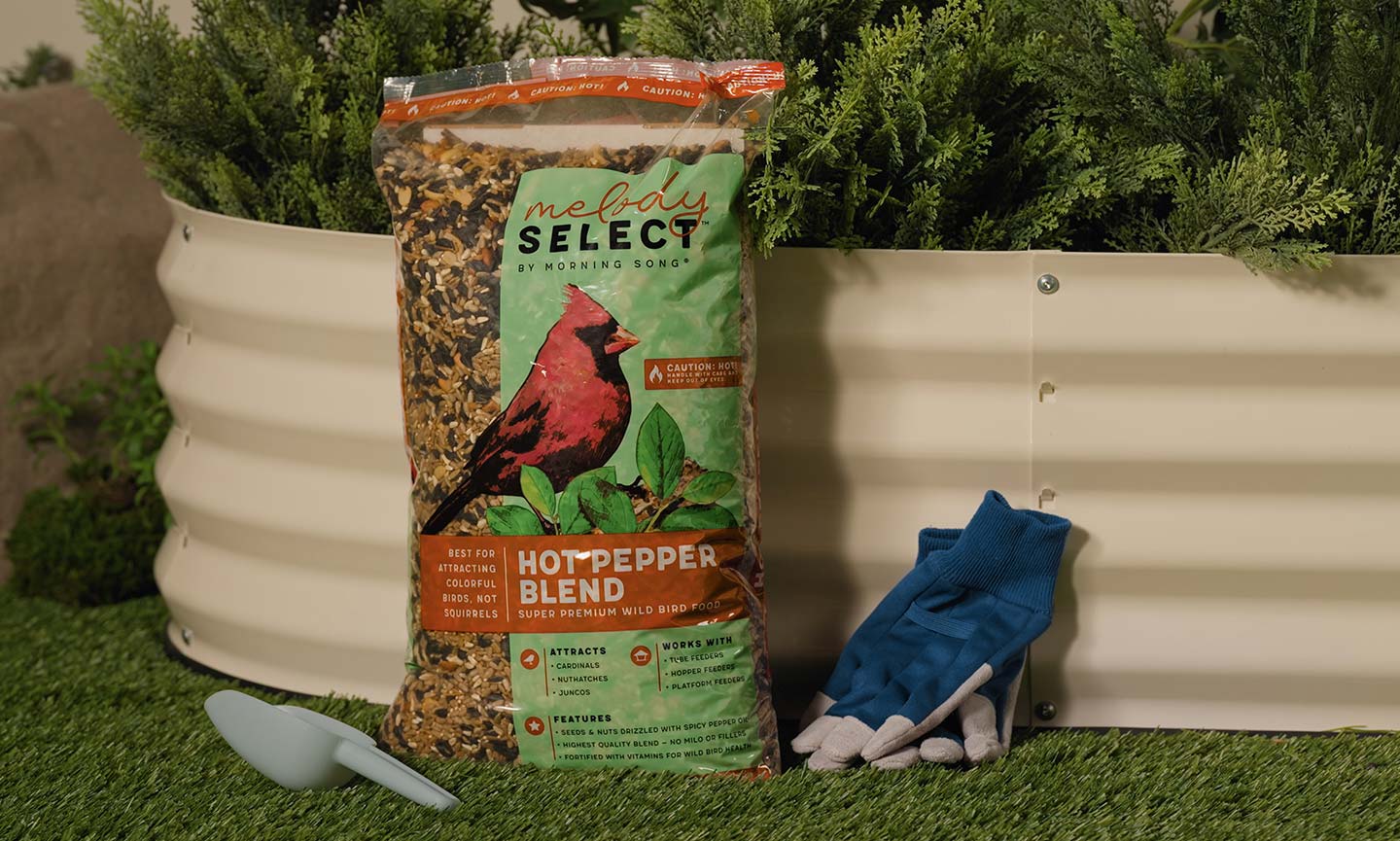 spicy bird seed used to deter squirrels