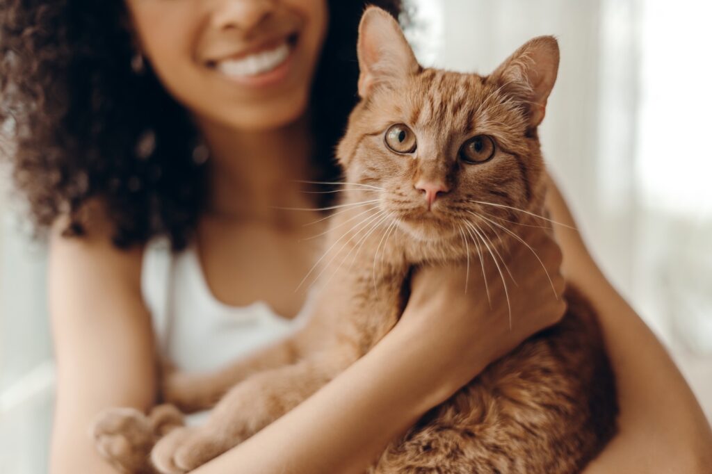 A woman holding an orange tabby cat. Learn why cats slow blink.