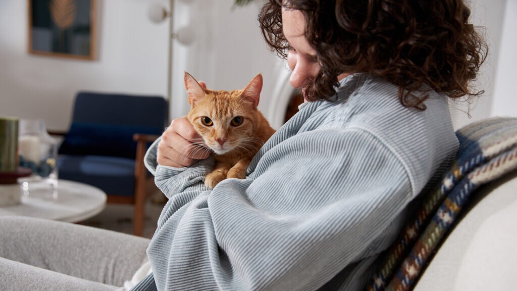 Cat cuddling