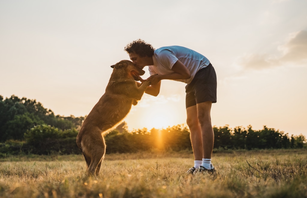 A man holds his dog’s paws during a sunset in an open field.