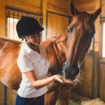 Can Horses Eat Oranges?