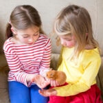 Are Hamsters Good Pets for Kids? What Parents Should Know