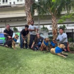 Chewy Turns Viral Dog Story Into Real-Life Homecomings for Lucky Shelter Pups