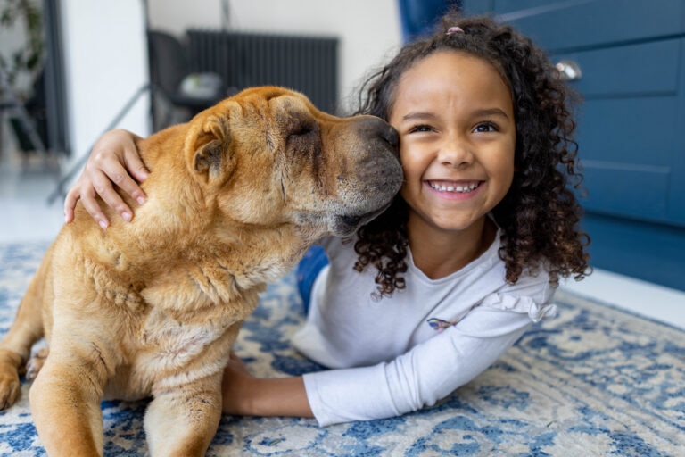best pets for kids; a Shar-Pei lays on the floor with a little girl.