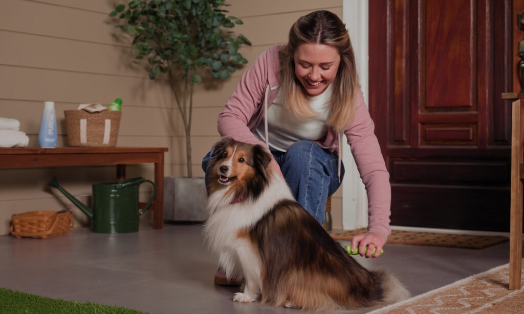 a woman grooming a dog