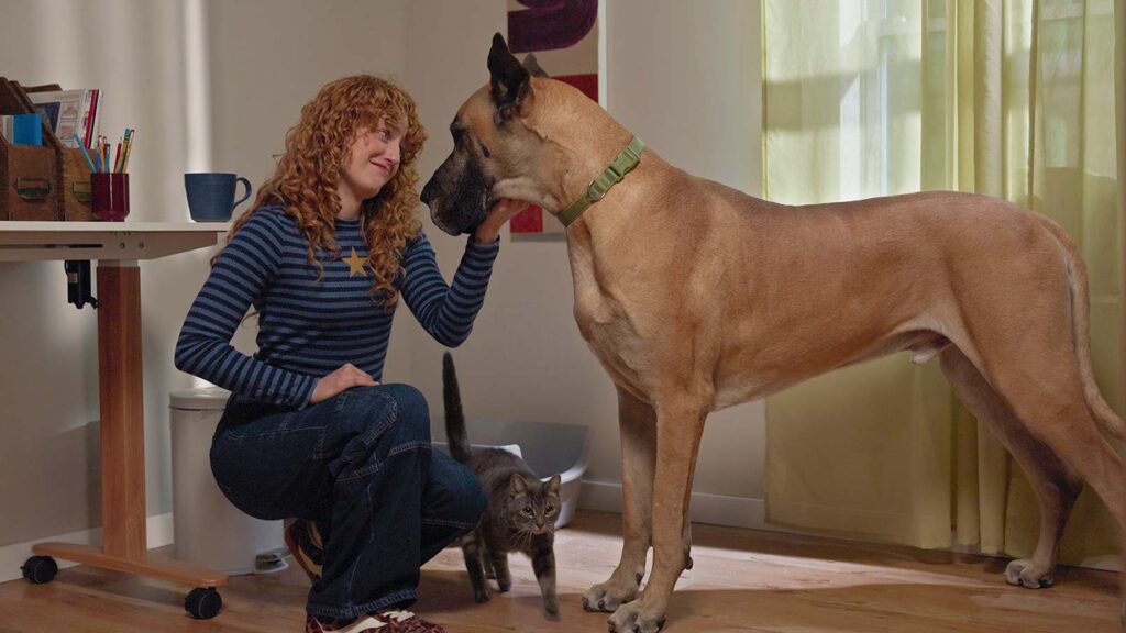 how to keep your dog out of the litter box