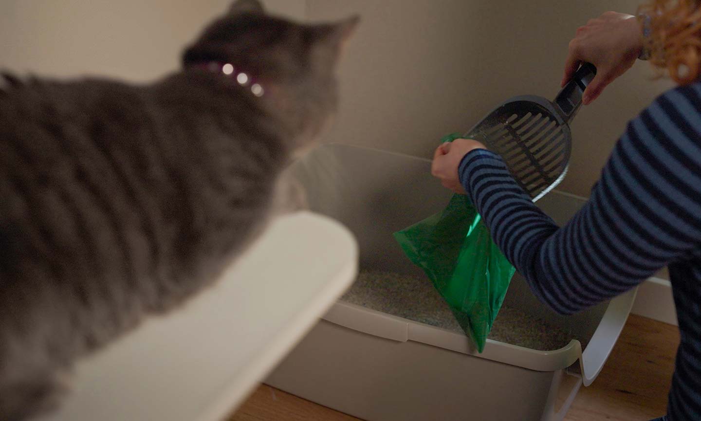 woman cleaning litter box