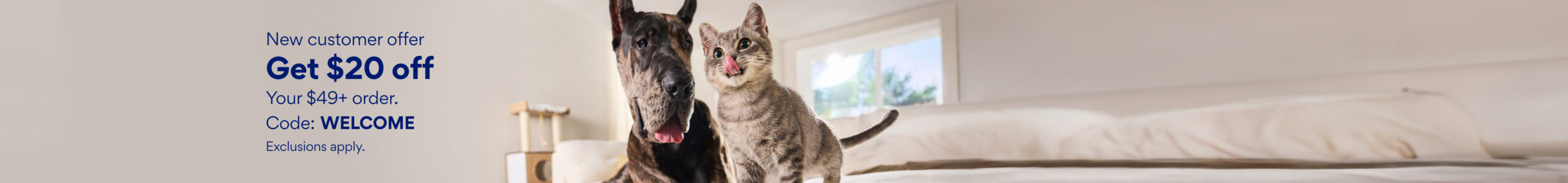 "Blog" banners WELCOME cash offer (cat)