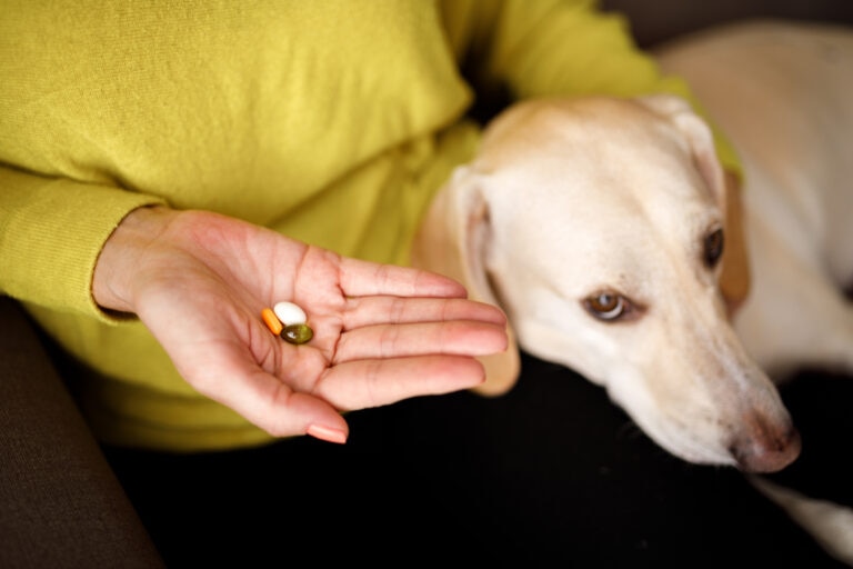 calcium for dogs