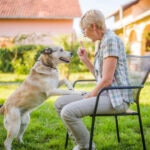Do Dogs Understand Pointing?