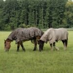 Fly Sheets vs Fly Spray: Which One is Better?