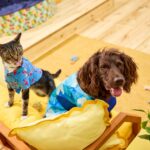 How Hot Is Too Hot for Dogs, Cats, and Horses?