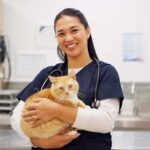 Activated Charcoal for Cats: When Vets Use It and When They Don’t
