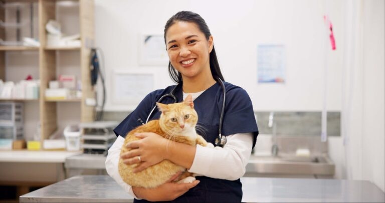 Activated charcoal should be used by vets in suspected cases of cat poisoning.