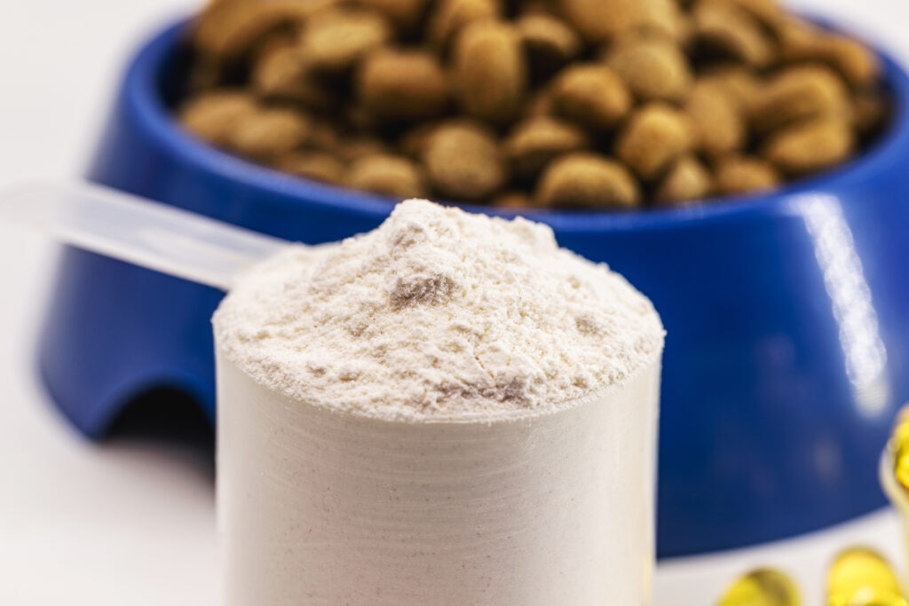 bone broth powder