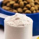Bone Broth Powder for Dogs: What You Should Know