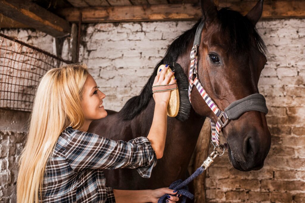 Woman grooming a horse