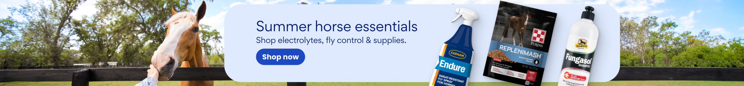 Summer Equine Event Banners