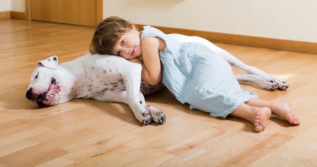 Little smiling girl on the floor with a Dogo Argentino