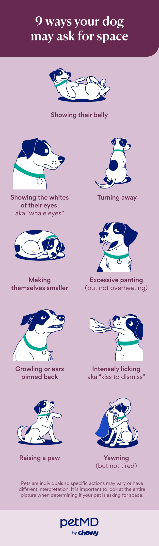 9 Ways Your Dog May Ask for Space