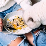 Can Cats Eat Honey?