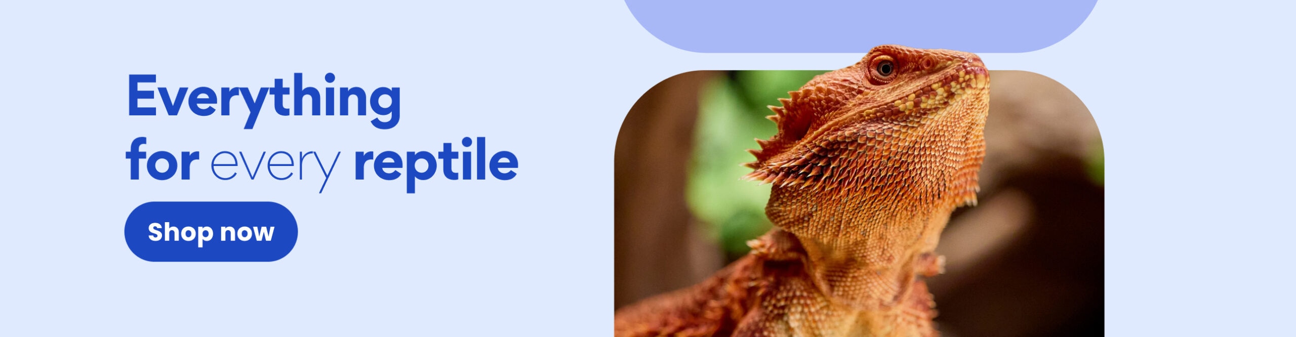content banner