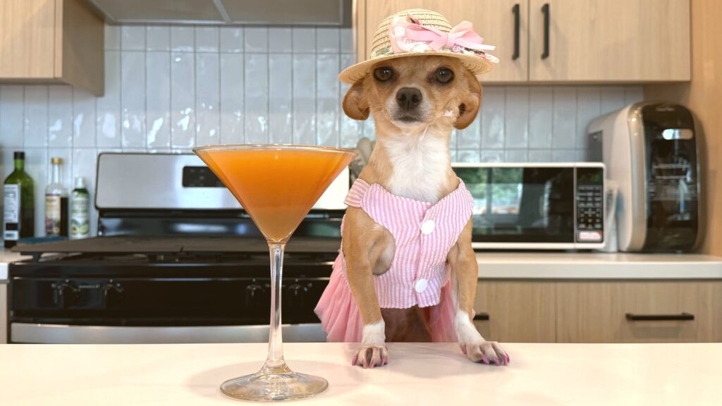 apawrol spritz for dogs recipe chewy