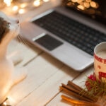 Can Cats Eat Cinnamon?