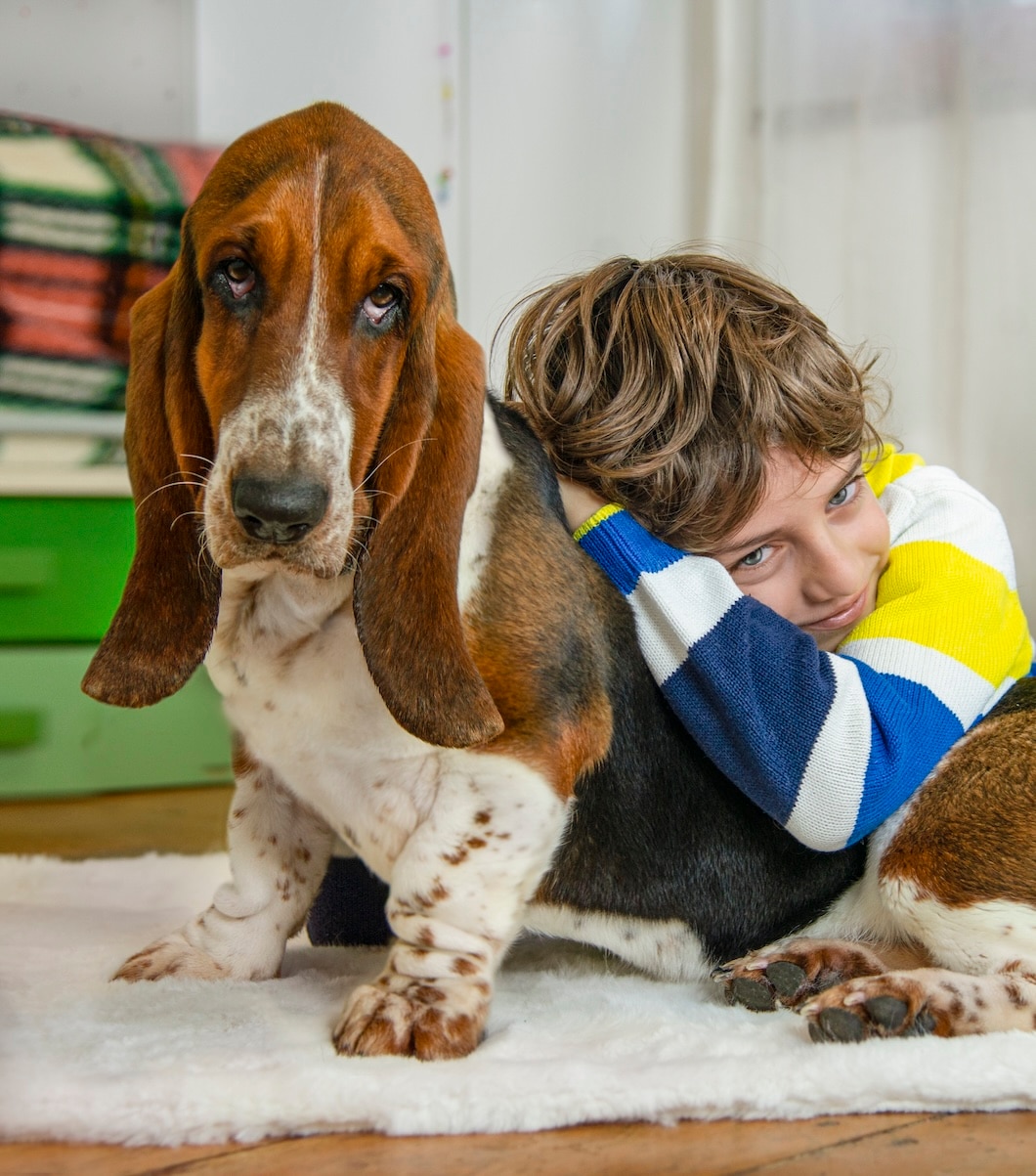 Boy hugging a basset hound at home.