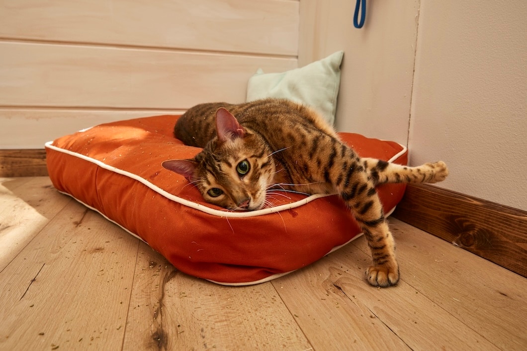 A Bengal cat lying on an orange pillow.