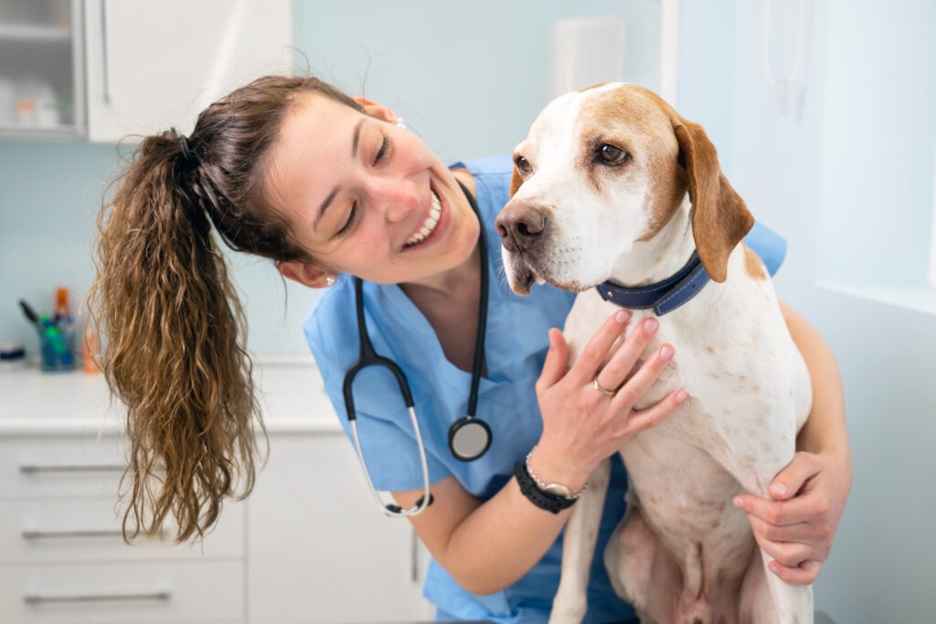 Dog going in for a checkup.