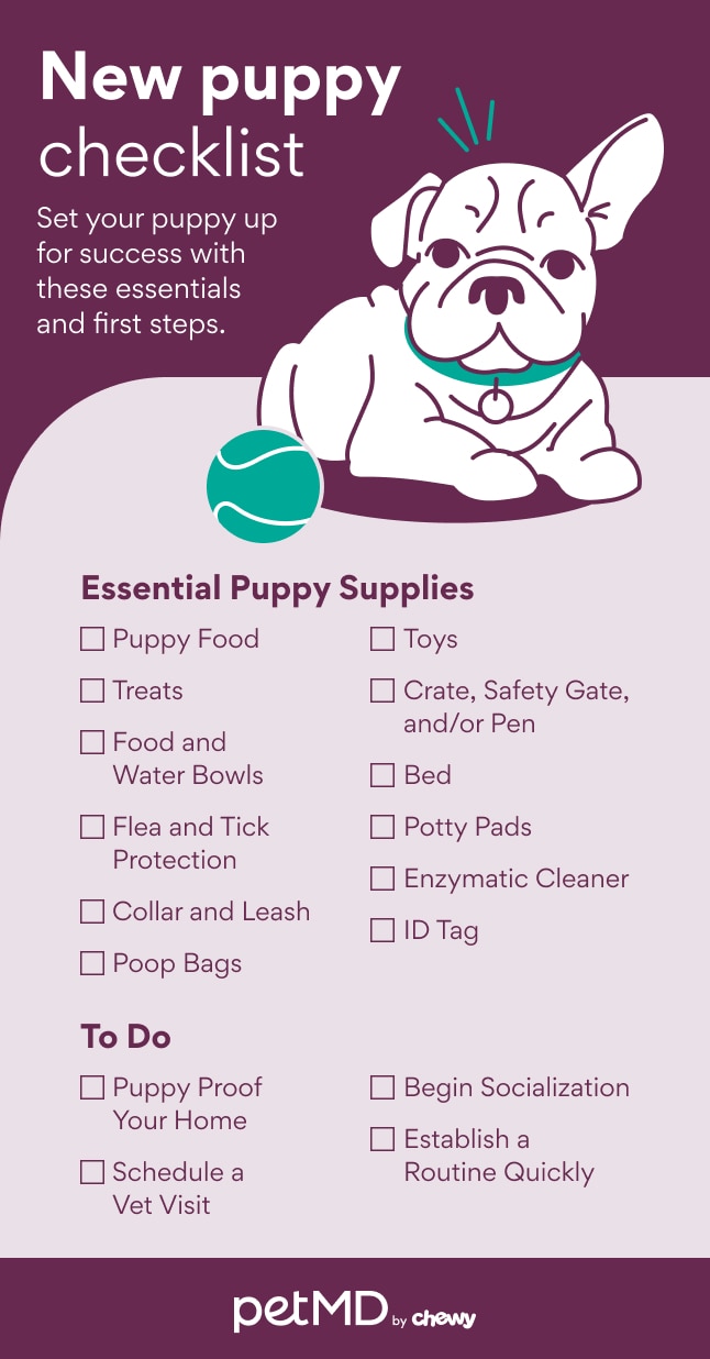 new puppy checklist - list of essential supplies and first steps