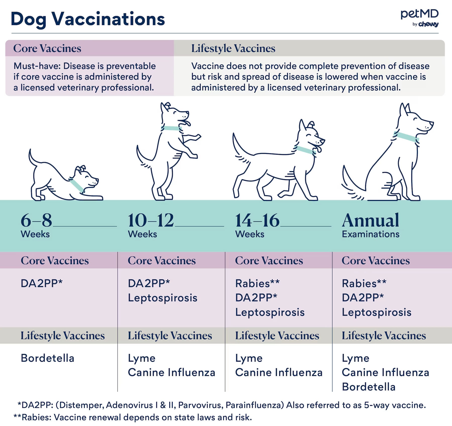dog vaccine