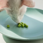 Can Cats Eat Peas?