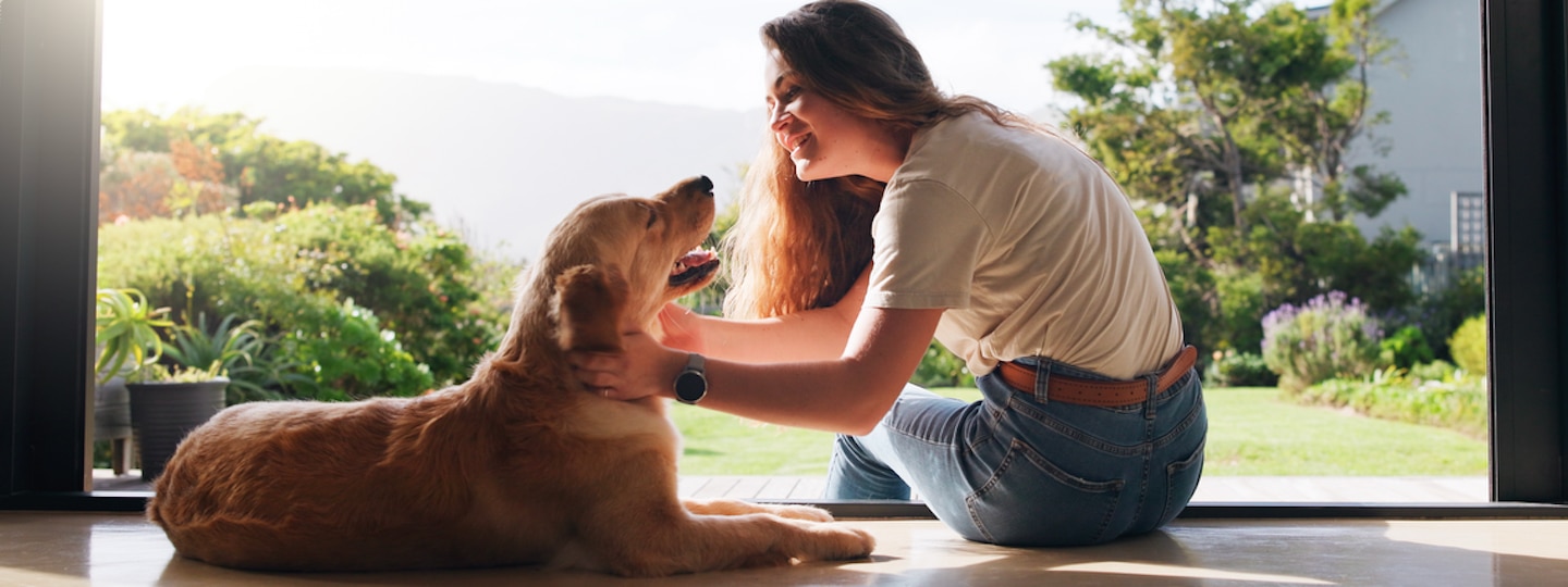 fostering a dog; a woman pats a dog.