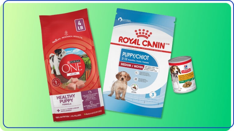best puppy food dry wet