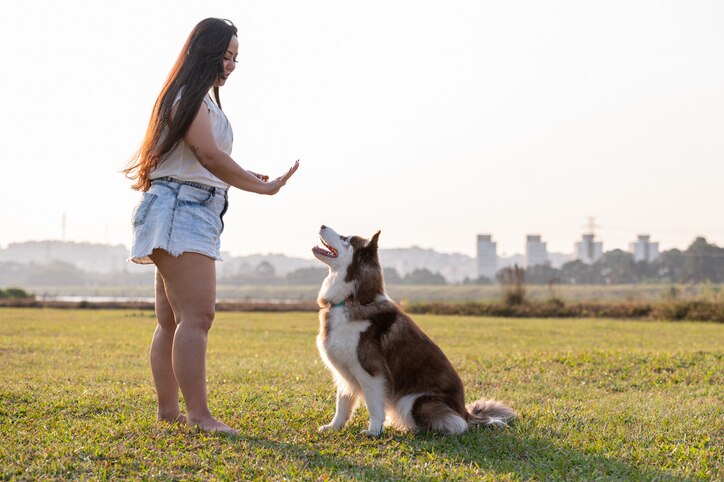 A woman teaching a dog to stay
