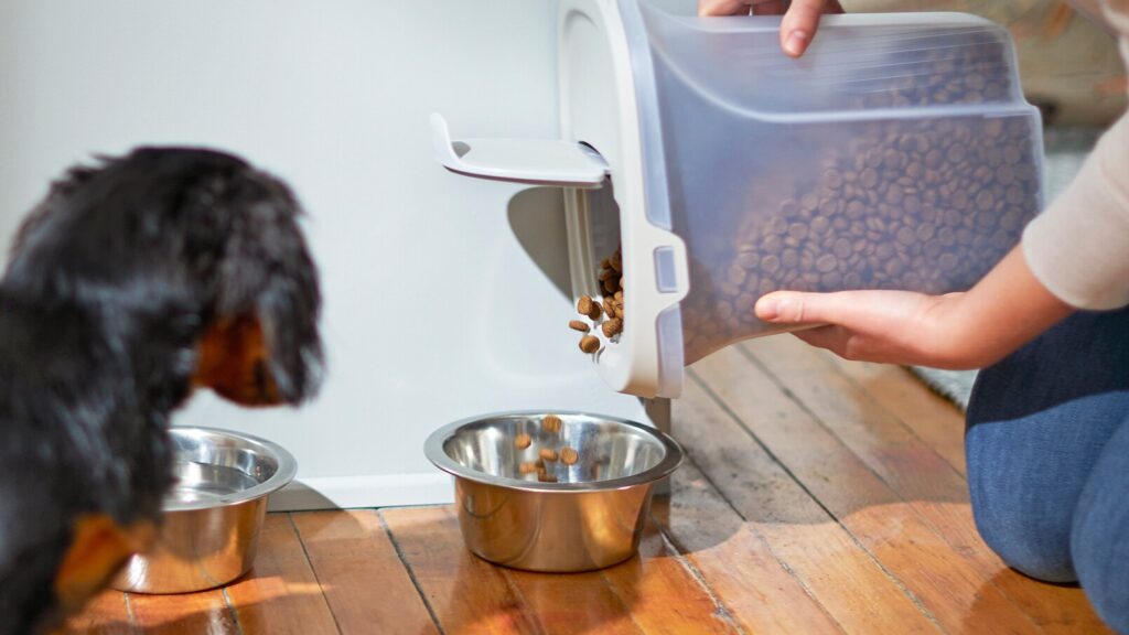 how to store dog food: pet parent pouring kibble into dog bowl