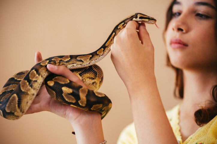 woman holding pet snake