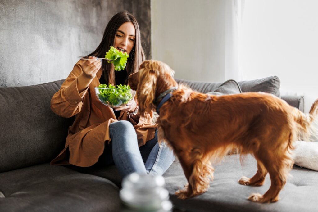 woman eating salad as her dog watches