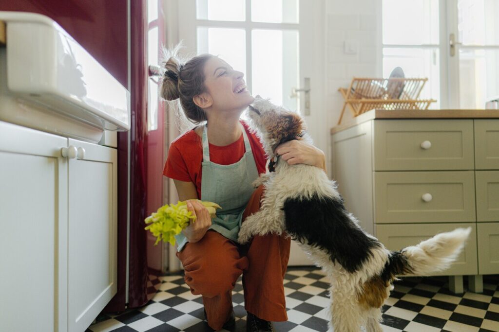 woman holding celery and getting licked by a jack russell terrier