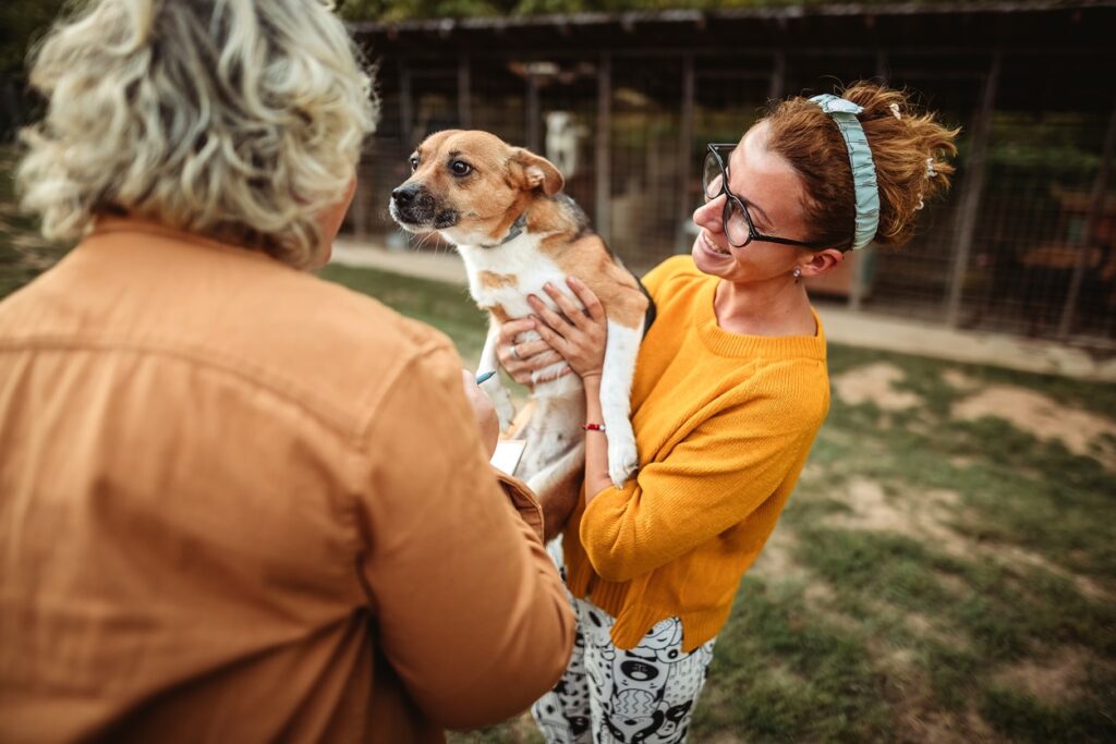 woman holding up a brown and white dog