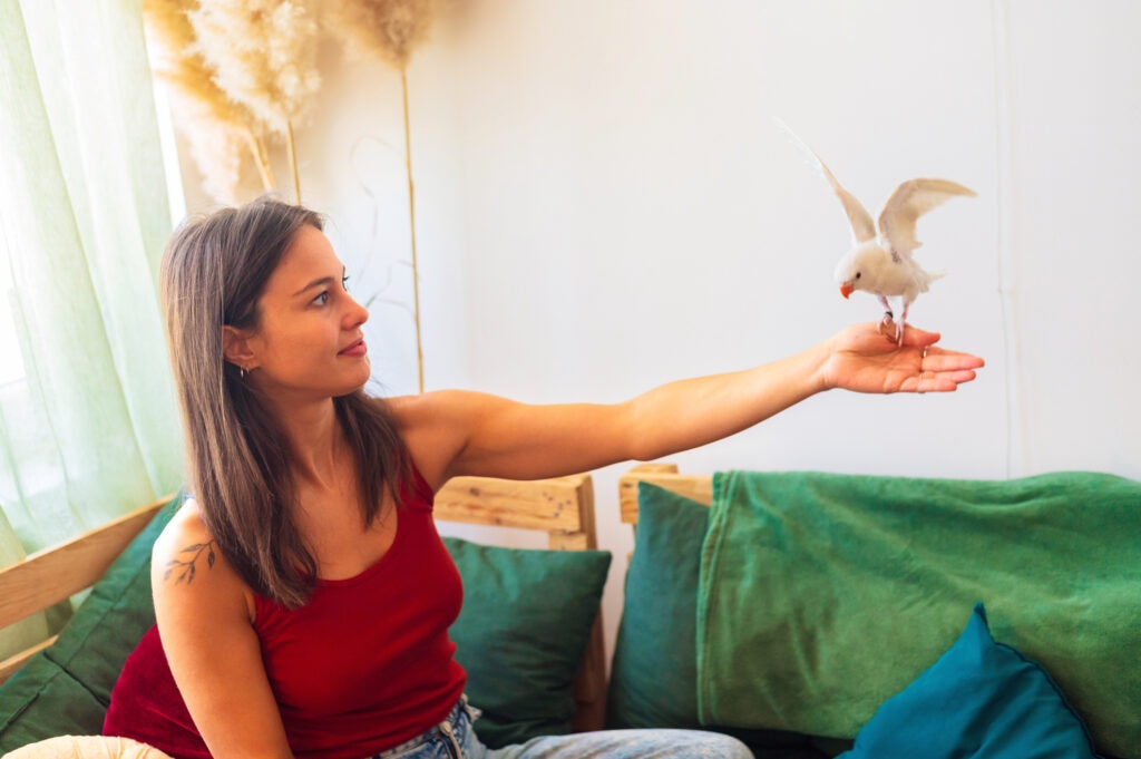 Woman teaching a bird to fly