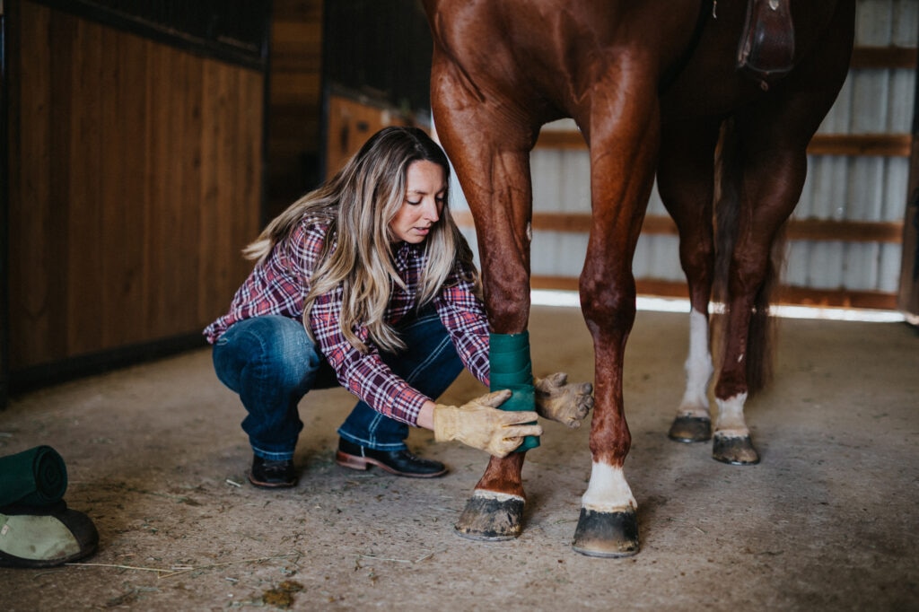 woman wraps a horse’s leg